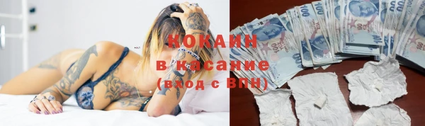 мдпв Верхний Тагил