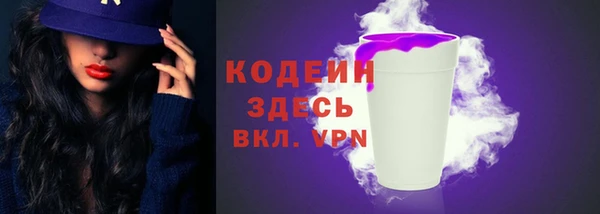 хмурый Вяземский