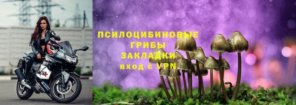 хмурый Вяземский