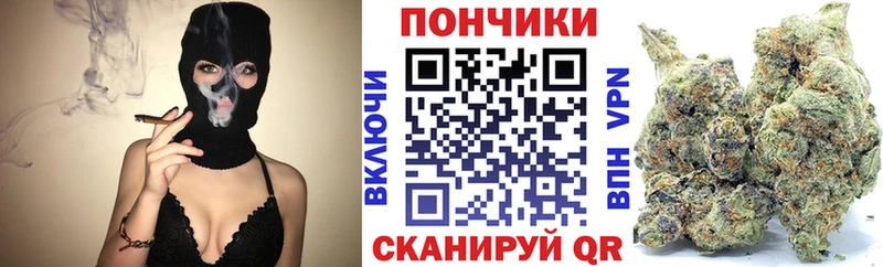 Купить  Новопавловск  Канабис индика 